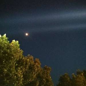 可乐（翻自 赵浴辰）