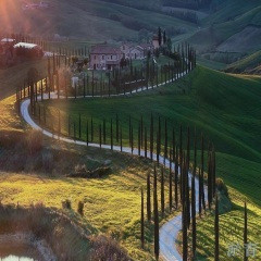 新版没茅台 (DJ版)