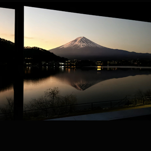 花总和摆哥的爱情过往