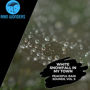 Unseen Moderate Rain