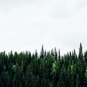 【FREE】 “卡农” Pop Punk Type Beat