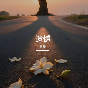 男生的遗憾_转换