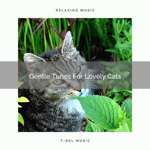 Gentle Melodies For Good Kittens