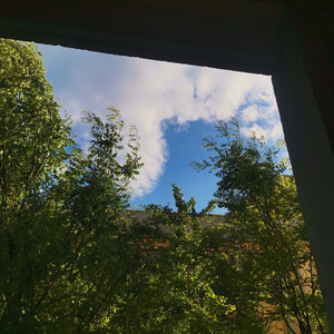 鲸起鲸落鲸来过