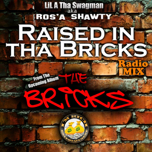 Raised in tha Bricks (Clean)