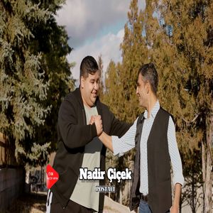 Postacı