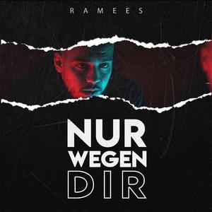 Nur wegen dir