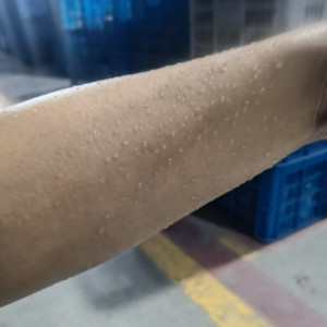 我爱的人已经走了