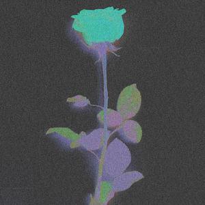 Module: 14.15_18.21.19.8