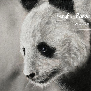 KungFu Panda