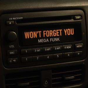 MEGA WON'T FORGET YOU