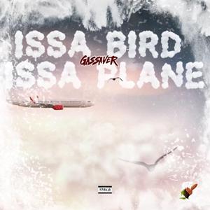 Issa Bird Issa Plane (feat. ProdHera)