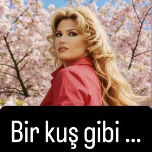Bir kuş gibi
