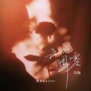 玫瑰凋零（DJ版）