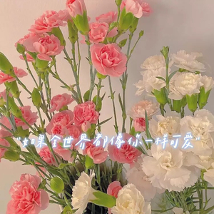 如果全世界都像你一样可爱