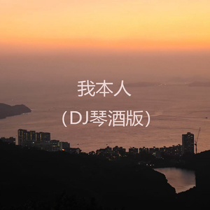 我本人(DJ琴酒版)