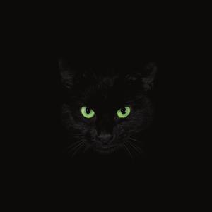 BLACK CATS