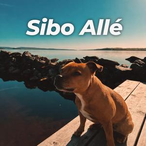Sibo Allé