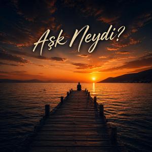 Aşk Neydi?