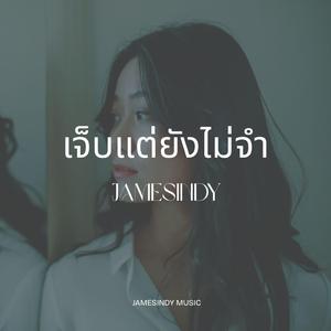 เจ็บแต่ยังไม่จำ