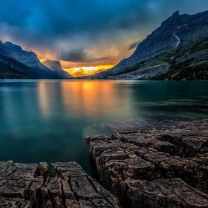 有一种爱叫胖猫