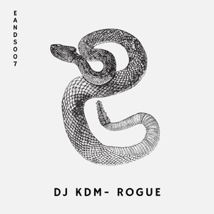 Rogue (Original Mix)