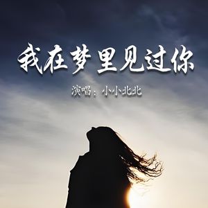 我在梦里见过你