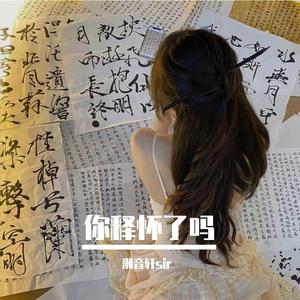 陪你去看流星雨（BGM版）