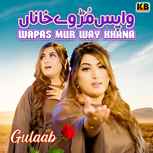 Wapas Mur Way Khana