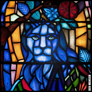 Wer Schmetterlinge lachen hört