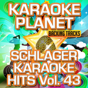 Mei potschertes Leb'n (Karaoke Version)