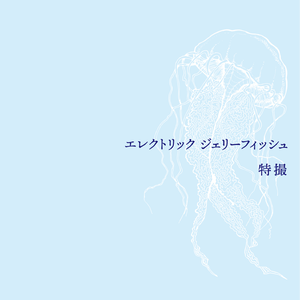 ネタバレの世界で生きてくための方法