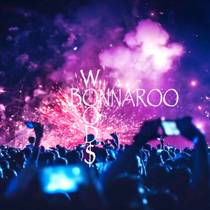 BONNAROO
