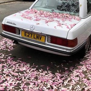 《爱，很简单》