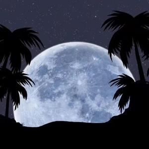 叶琼琳-无法坠入爱河（Wnochance remix）