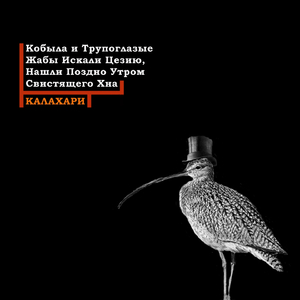 Никто Не в Состоянии Посчитать Популяцию Ондатр в Республике Заир
