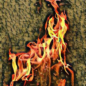 Summer Fire