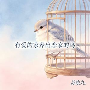 有爱的家养出恋家的鸟