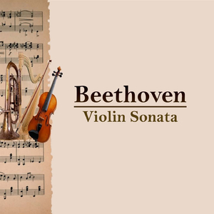 Violin Sonata No. 9 in A Major, Op. 47: III. Finale. Presto