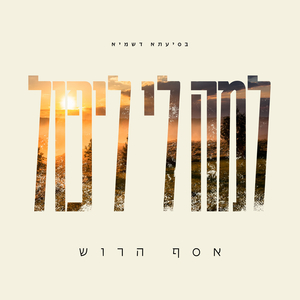למה לי ליפול