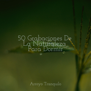 Serenidad Junto Al Fuego