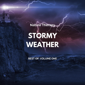 Stormy Ocean on the Rocks