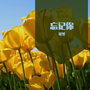 回忆你