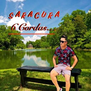 6 Cordas