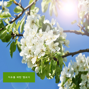 치유를 위한 멜로디