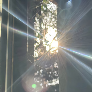 阳光穿过我的瞳孔