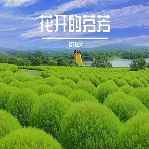 如果结局是分离 那相遇的意义在哪里
告别风和你
若相遇注定要别离