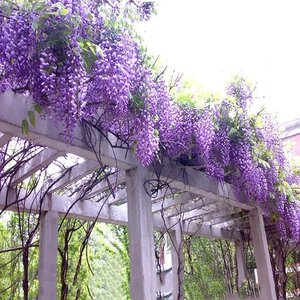 我们练习了错过却没学会放过