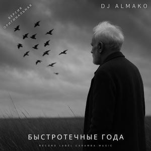 БЫСТРОТЕЧНЫЕ ГОДА