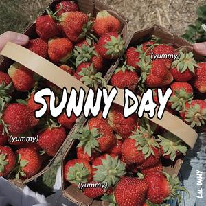Sunny Day